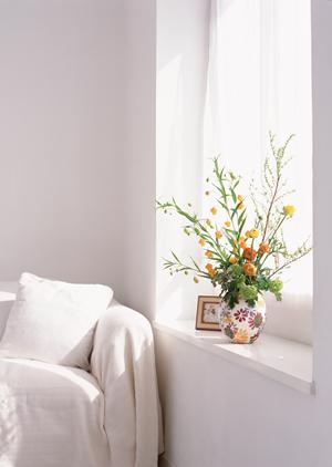 福岡市博多区にあるタカラスタンダード福岡ショールームの魅力と詳細情報